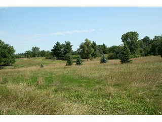 Property photo 1 - 165 +/- Acres Offered in 11 Tracts - Real Estate Auction