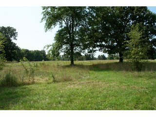 Property photo 18 - 165 +/- Acres Offered in 11 Tracts - Real Estate Auction