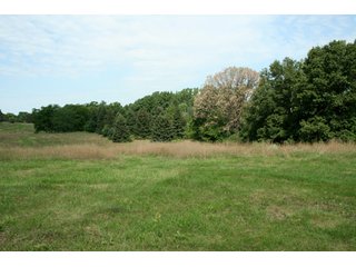 Property photo 15 - 165 +/- Acres Offered in 11 Tracts - Real Estate Auction