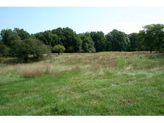 Property photo 33 - 165 +/- Acres Offered in 11 Tracts - Real Estate Auction