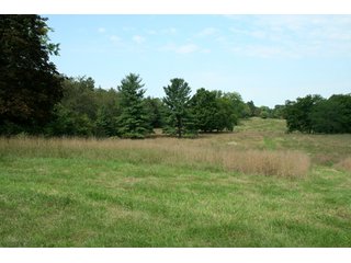 Property photo 42 - 165 +/- Acres Offered in 11 Tracts - Real Estate Auction