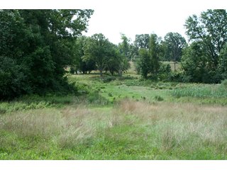 Property photo 26 - 165 +/- Acres Offered in 11 Tracts - Real Estate Auction