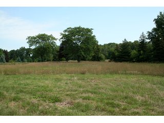 Property photo 57 - 165 +/- Acres Offered in 11 Tracts - Real Estate Auction
