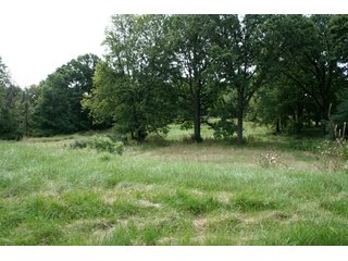 Property photo 34 - 165 +/- Acres Offered in 11 Tracts - Real Estate Auction