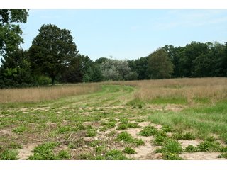 Property photo 31 - 165 +/- Acres Offered in 11 Tracts - Real Estate Auction