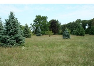 Property photo 35 - 165 +/- Acres Offered in 11 Tracts - Real Estate Auction