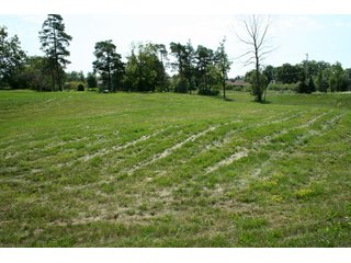 Property photo 27 - 165 +/- Acres Offered in 11 Tracts - Real Estate Auction