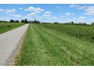 Property photo 9 - 140.2 +/- Acres Offered in 4 Tracts
