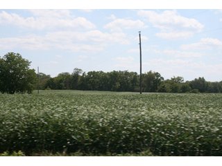Property photo 13 - 140.2 +/- Acres Offered in 4 Tracts