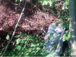 Property photo 8 - 228 +/- Acres Offered in 4 Tracts - Land Auction