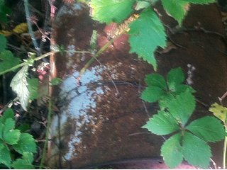 Property photo 13 - 228 +/- Acres Offered in 4 Tracts - Land Auction