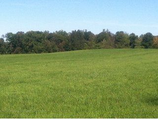 Property photo 4 - 228 +/- Acres Offered in 4 Tracts - Land Auction
