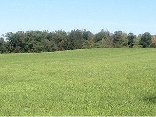 Property photo 25 - 228 +/- Acres Offered in 4 Tracts - Land Auction