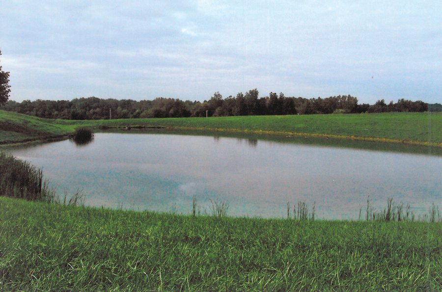 174.3 +/- Acres Offered in 7 Tracts - Land Auction