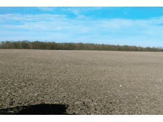 Property photo 6 - 174.3 +/- Acres Offered in 7 Tracts - Land Auction