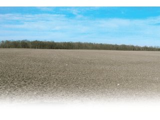 Property photo 2 - 174.3 +/- Acres Offered in 7 Tracts - Land Auction