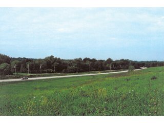 Property photo 1 - 174.3 +/- Acres Offered in 7 Tracts - Land Auction