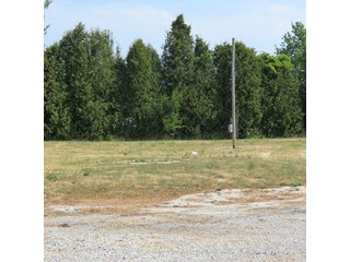 Property photo 15 - 41 +/- Acres Offered in 2 Tracts - Tillable Land & Building Site