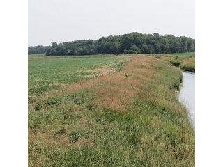 Property photo 20 - 41 +/- Acres Offered in 2 Tracts - Tillable Land & Building Site