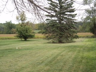 Property photo 2 - Ranch Home Real Estate Auction