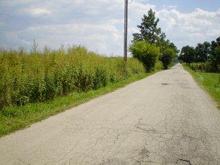 Property photo 3 - 42.9 Acres Offered in 2 Tracts