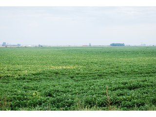 Property photo 10 - 379+/- Acres Offered in 5 Tracts
