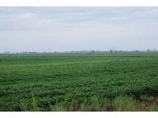 Property photo 9 - 379+/- Acres Offered in 5 Tracts