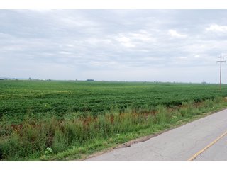 Property photo 11 - 379+/- Acres Offered in 5 Tracts