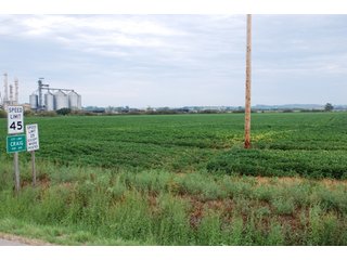 Property photo 14 - 379+/- Acres Offered in 5 Tracts