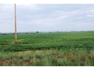 Property photo 4 - 379+/- Acres Offered in 5 Tracts