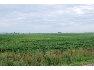 Property photo 1 - 379+/- Acres Offered in 5 Tracts