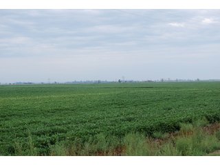 Property photo 2 - 379+/- Acres Offered in 5 Tracts