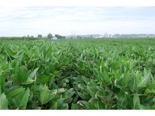 Property photo 13 - 379+/- Acres Offered in 5 Tracts