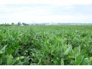 Property photo 8 - 379+/- Acres Offered in 5 Tracts