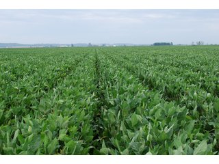 Property photo 7 - 379+/- Acres Offered in 5 Tracts