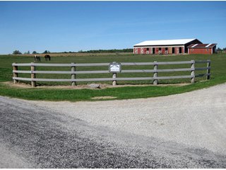 Property photo 25 - 207+/- Acres Offered in 6 Tracts Land Auction