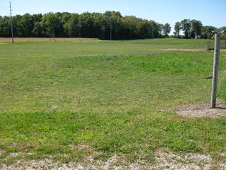 Property photo 26 - 207+/- Acres Offered in 6 Tracts Land Auction