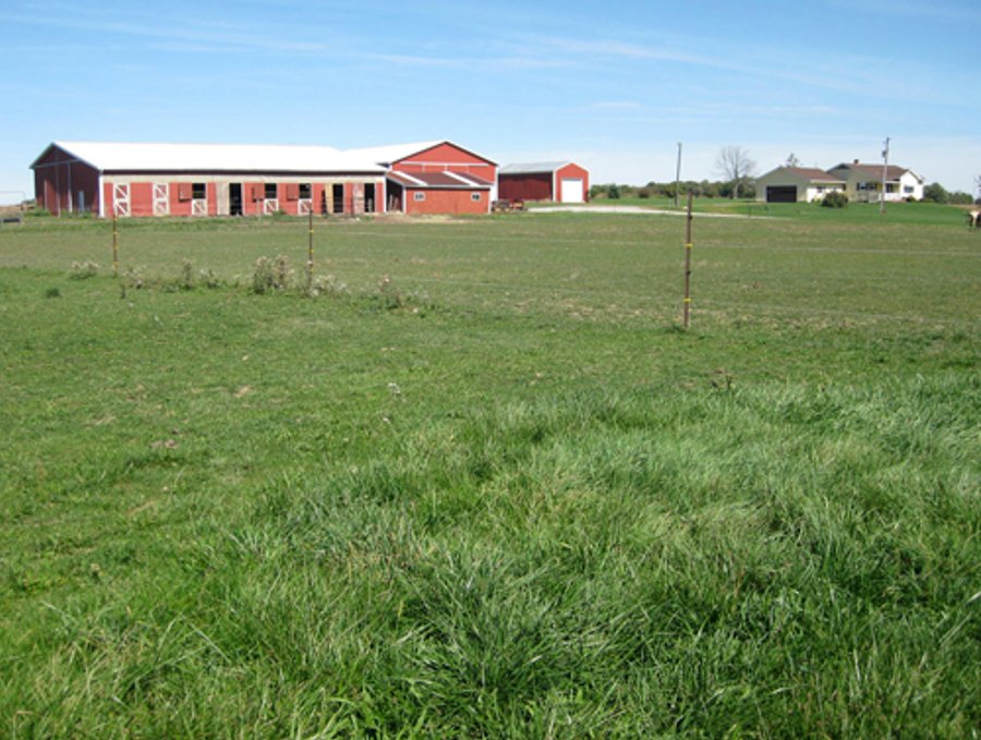 207+/- Acres Offered in 6 Tracts Land Auction