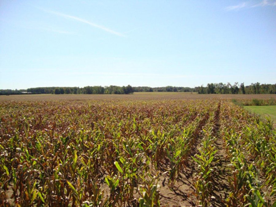 189 Acres Offered in 4 Tracts - 3 Locations