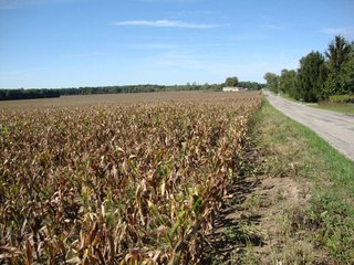 Property photo 3 - 189 Acres Offered in 4 Tracts - 3 Locations