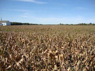 Property photo 1 - 189 Acres Offered in 4 Tracts - 3 Locations