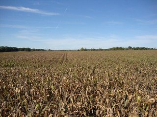 Property photo 2 - 189 Acres Offered in 4 Tracts - 3 Locations
