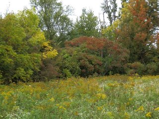 Property photo 5 - 20+/- Acres Offered in 3 Tracts - Real Estate Auction