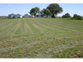 Property photo 8 - 115 +/- Acres of Prime Illinois Farmland - Offered in 2 Tracts