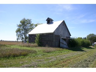Property photo 15 - 115 +/- Acres of Prime Illinois Farmland - Offered in 2 Tracts