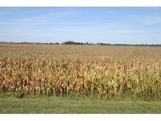 Property photo 4 - 115 +/- Acres of Prime Illinois Farmland - Offered in 2 Tracts