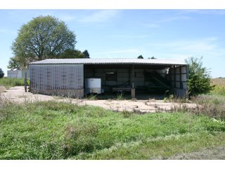 Property photo 11 - 115 +/- Acres of Prime Illinois Farmland - Offered in 2 Tracts