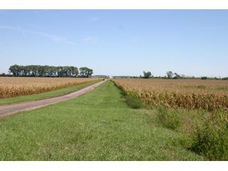 Property photo 10 - 115 +/- Acres of Prime Illinois Farmland - Offered in 2 Tracts