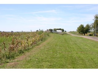 Property photo 6 - 115 +/- Acres of Prime Illinois Farmland - Offered in 2 Tracts