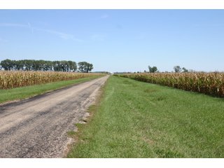 Property photo 14 - 115 +/- Acres of Prime Illinois Farmland - Offered in 2 Tracts